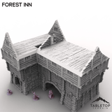 Tabletop Terrain Building Forest Inn