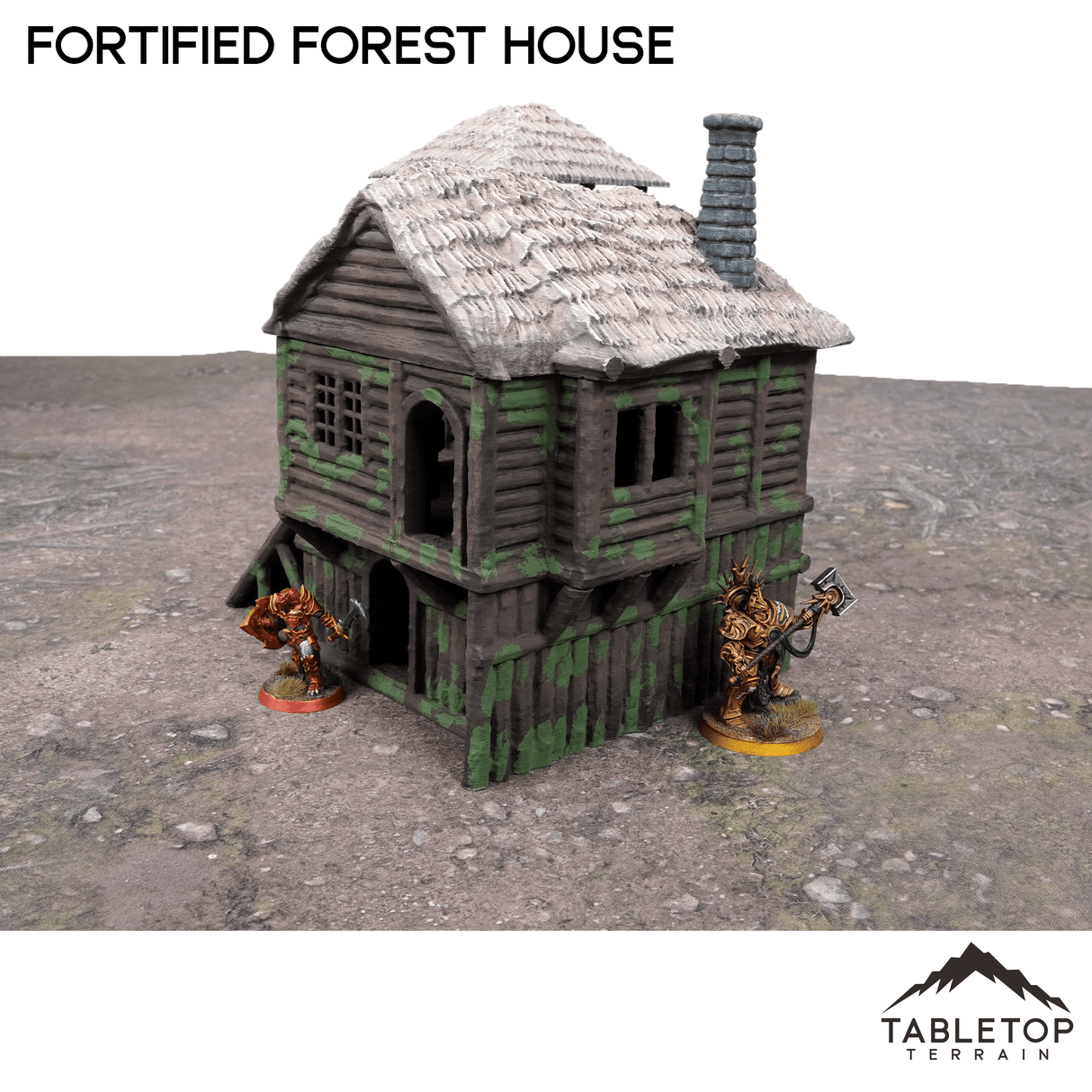 Tabletop Terrain Building Fortified Forest House