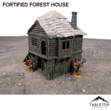 Tabletop Terrain Building Fortified Forest House