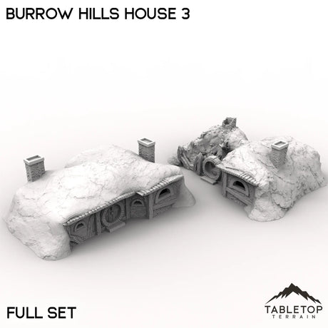 Tabletop Terrain Building Full Set / 32mm Burrow Hills House 3