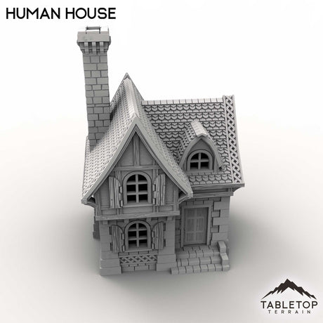 Tabletop Terrain Building Human House