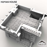 Tabletop Terrain Building Human House