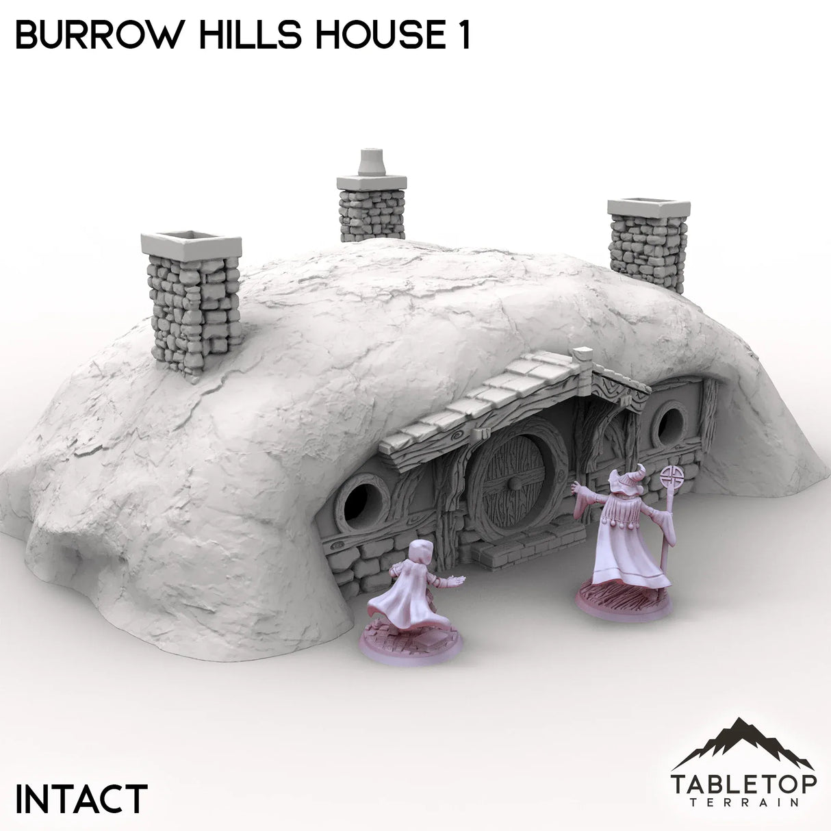 Tabletop Terrain Building Intact / 32mm Burrow Hills House 1