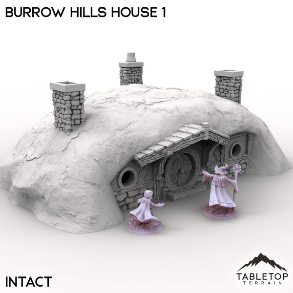 Tabletop Terrain Building Intact / 32mm Burrow Hills House 1