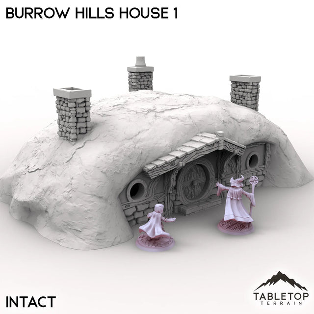 Tabletop Terrain Building Intact / 32mm Burrow Hills House 1
