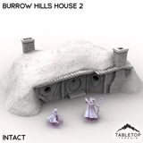 Tabletop Terrain Building Intact / 32mm Burrow Hills House 2