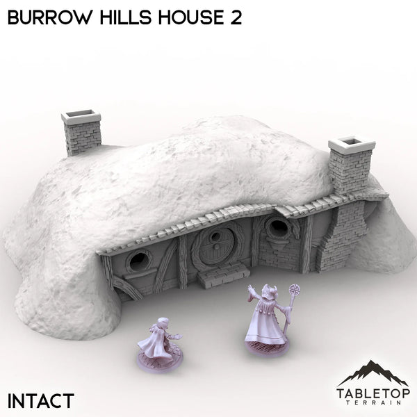 Tabletop Terrain Building Intact / 32mm Burrow Hills House 2