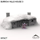 Tabletop Terrain Building Intact / 32mm Burrow Hills House 3