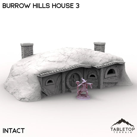 Tabletop Terrain Building Intact / 32mm Burrow Hills House 3