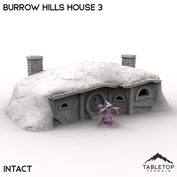 Tabletop Terrain Building Intact / 32mm Burrow Hills House 3