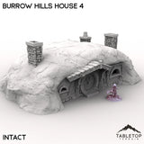 Tabletop Terrain Building Intact / 32mm Burrow Hills House 4