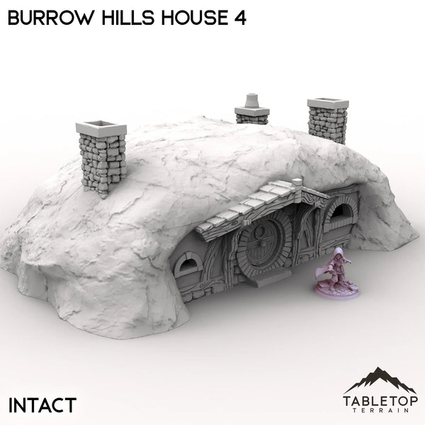 Tabletop Terrain Building Intact / 32mm Burrow Hills House 4