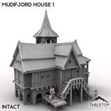 Tabletop Terrain Building Intact / 32mm Mudifjord House 1