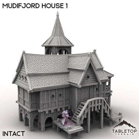 Tabletop Terrain Building Intact / 32mm Mudifjord House 1