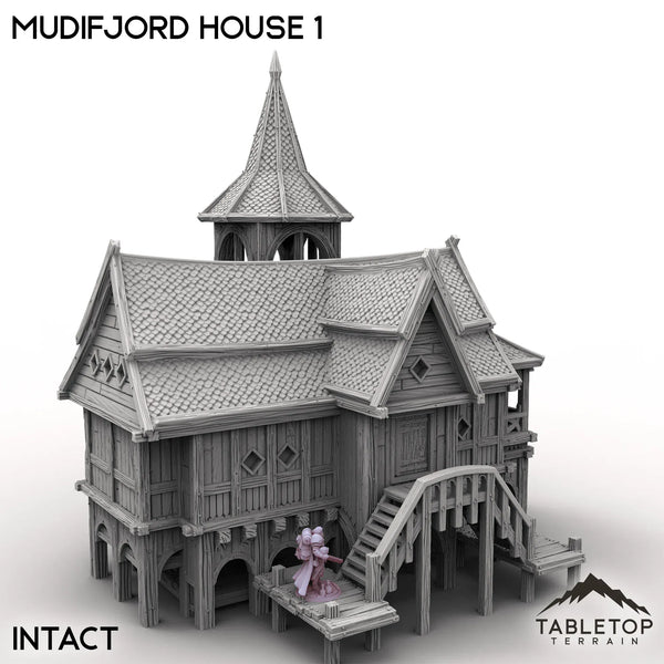 Tabletop Terrain Building Intact / 32mm Mudifjord House 1