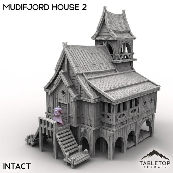 Tabletop Terrain Building Intact / 32mm Mudifjord House 2