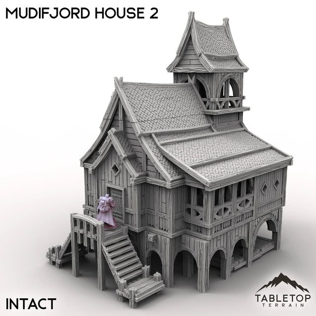 Tabletop Terrain Building Intact / 32mm Mudifjord House 2