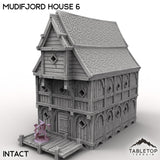 Tabletop Terrain Building Intact / 32mm Mudifjord House 6