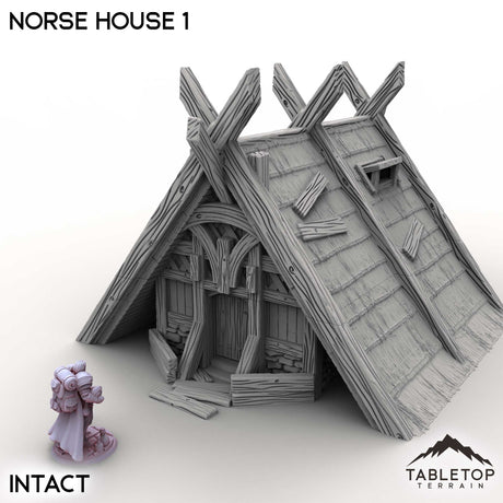 Tabletop Terrain Building Intact / 32mm Norse House 1