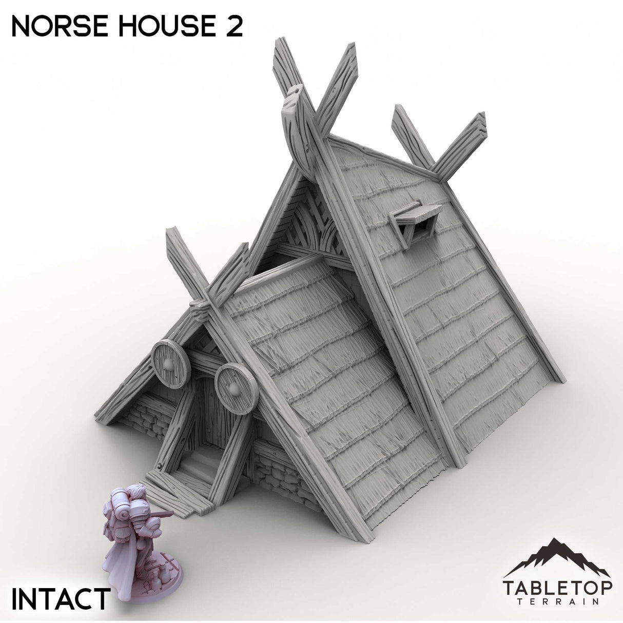 Tabletop Terrain Building Intact / 32mm Norse House 2