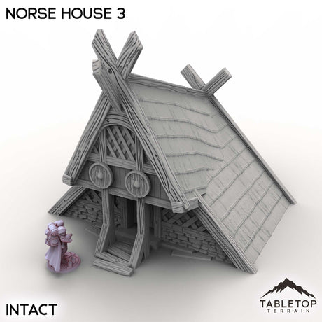Tabletop Terrain Building Intact / 32mm Norse House 3