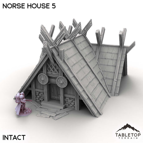 Tabletop Terrain Building Intact / 32mm Norse House 5