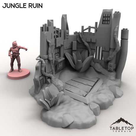 Tabletop Terrain Building Jungle Ruin