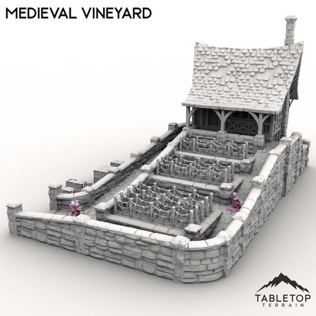 Tabletop Terrain Building Medieval Vineyard
