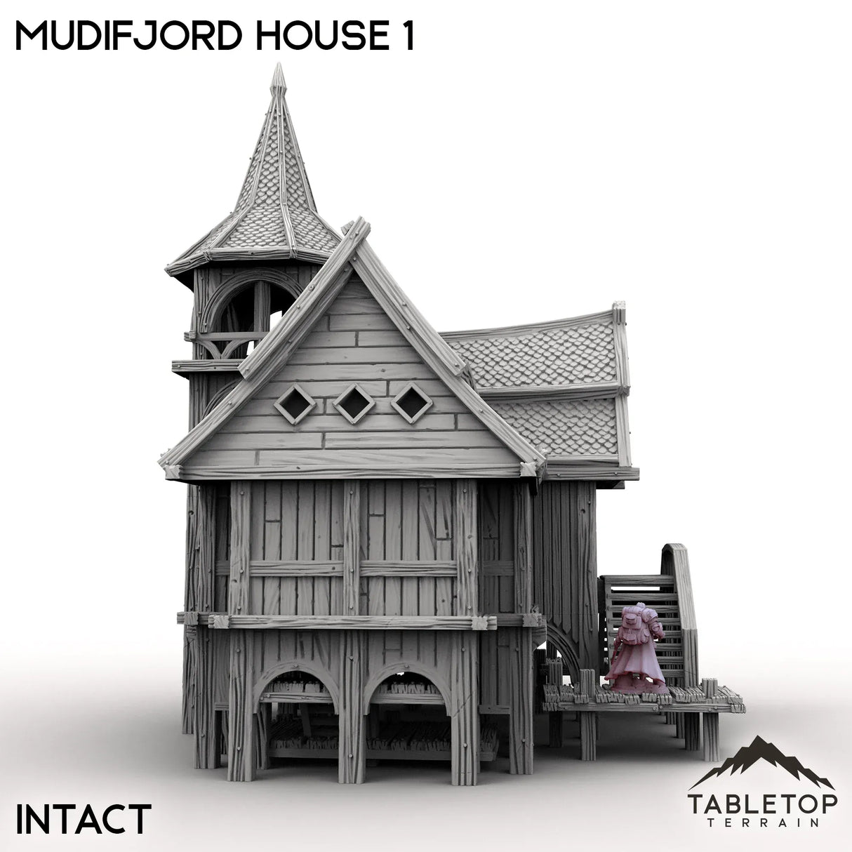 Tabletop Terrain Building Mudifjord House 1