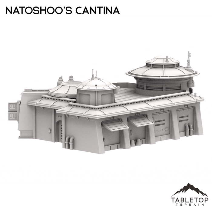 Tabletop Terrain Building Natoshoo's Cantina