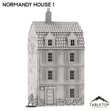 Tabletop Terrain Building Normandy Town Square Pack