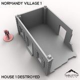 Tabletop Terrain Building Normandy Village 1