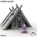Tabletop Terrain Building Norse House 1