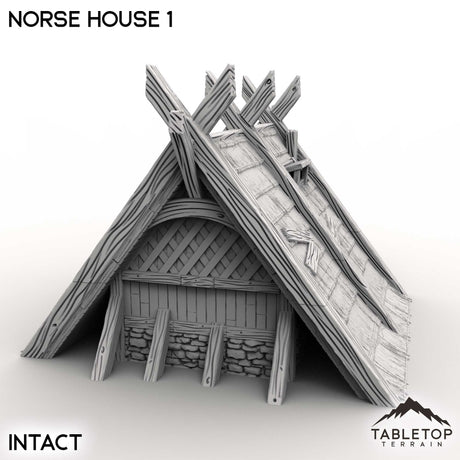 Tabletop Terrain Building Norse House 1