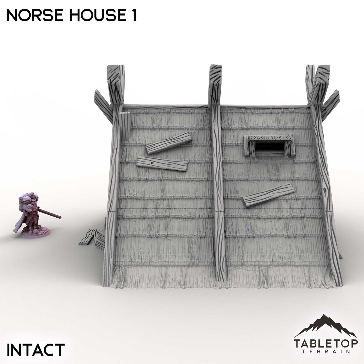 Tabletop Terrain Building Norse House 1