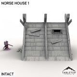 Tabletop Terrain Building Norse House 1