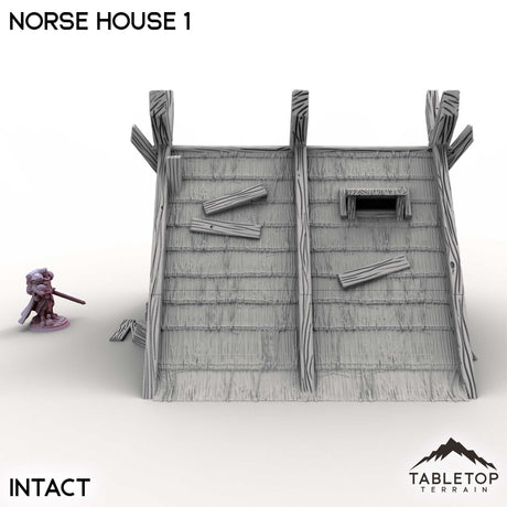 Tabletop Terrain Building Norse House 1