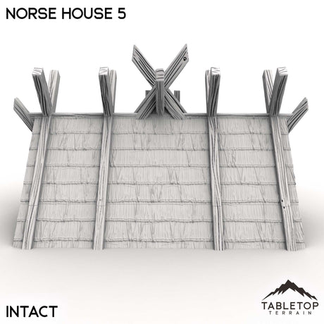 Tabletop Terrain Building Norse House 5