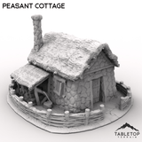 Tabletop Terrain Building Peasant Cottage