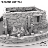 Tabletop Terrain Building Peasant Cottage