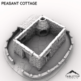 Tabletop Terrain Building Peasant Cottage