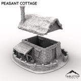 Tabletop Terrain Building Peasant Cottage