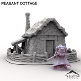Tabletop Terrain Building Peasant Cottage
