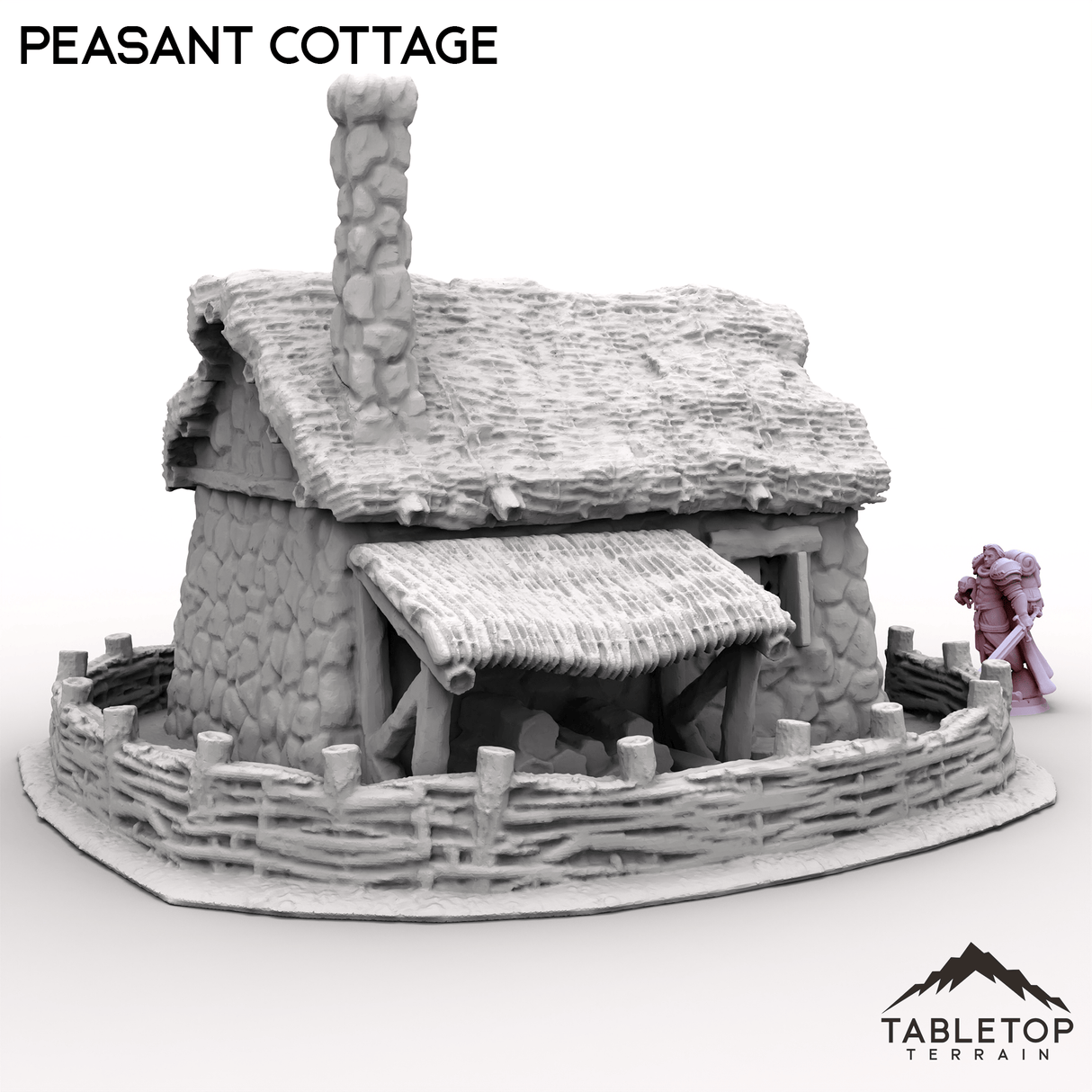 Tabletop Terrain Building Peasant Cottage
