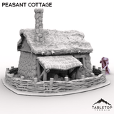 Tabletop Terrain Building Peasant Cottage