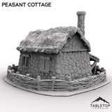 Tabletop Terrain Building Peasant Cottage