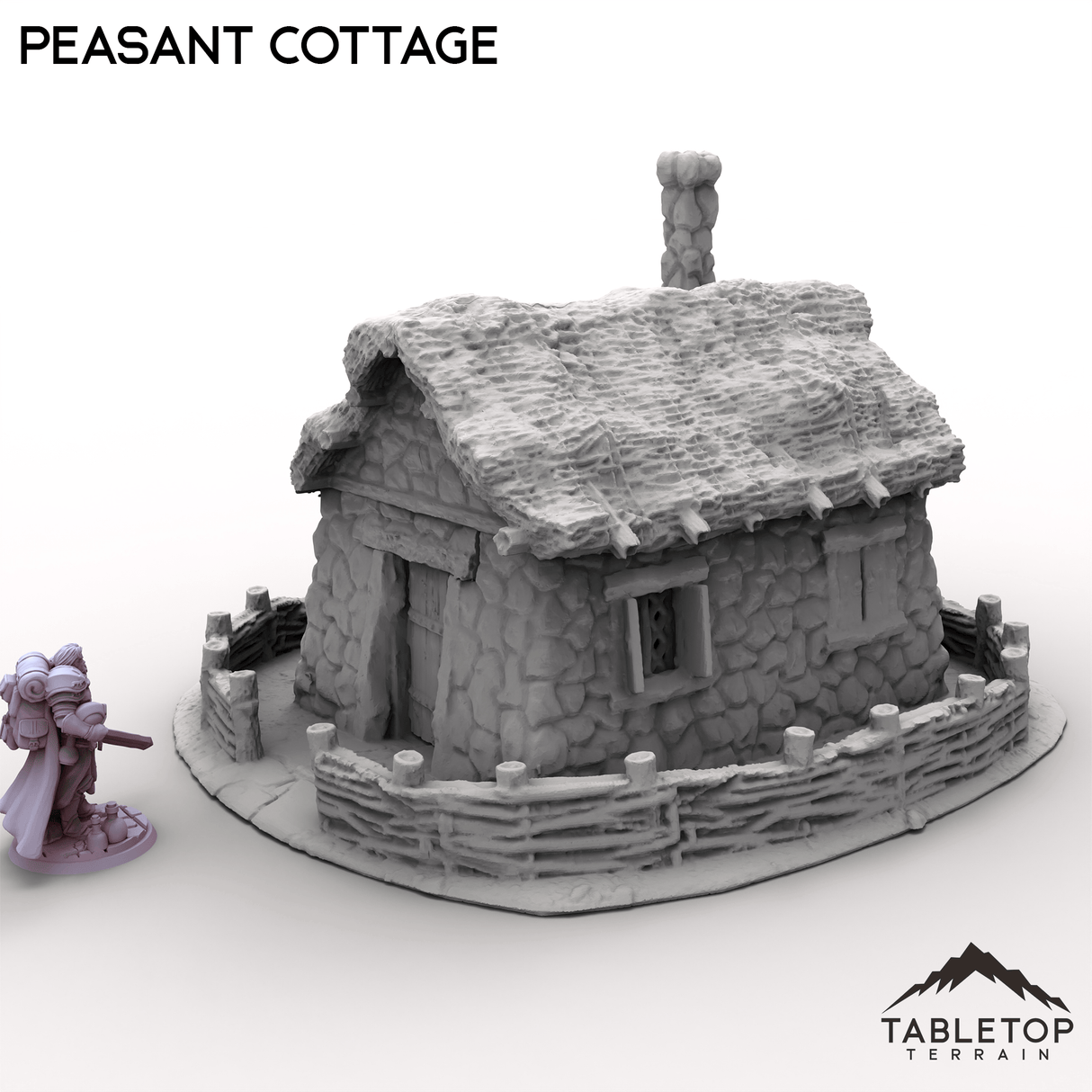 Tabletop Terrain Building Peasant Cottage