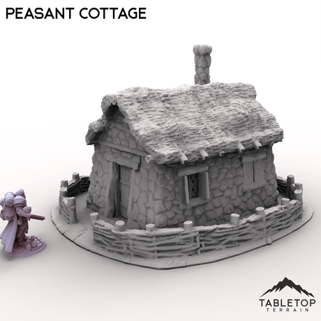 Tabletop Terrain Building Peasant Cottage