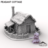 Tabletop Terrain Building Peasant Cottage