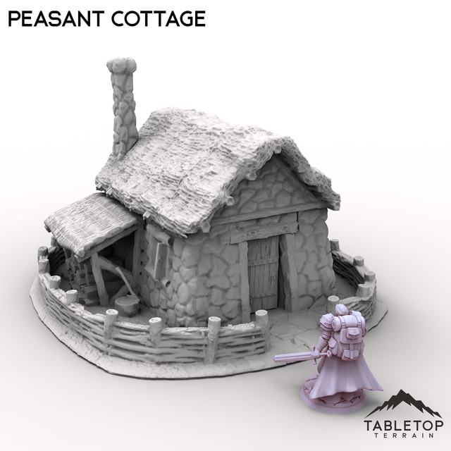 Tabletop Terrain Building Peasant Cottage